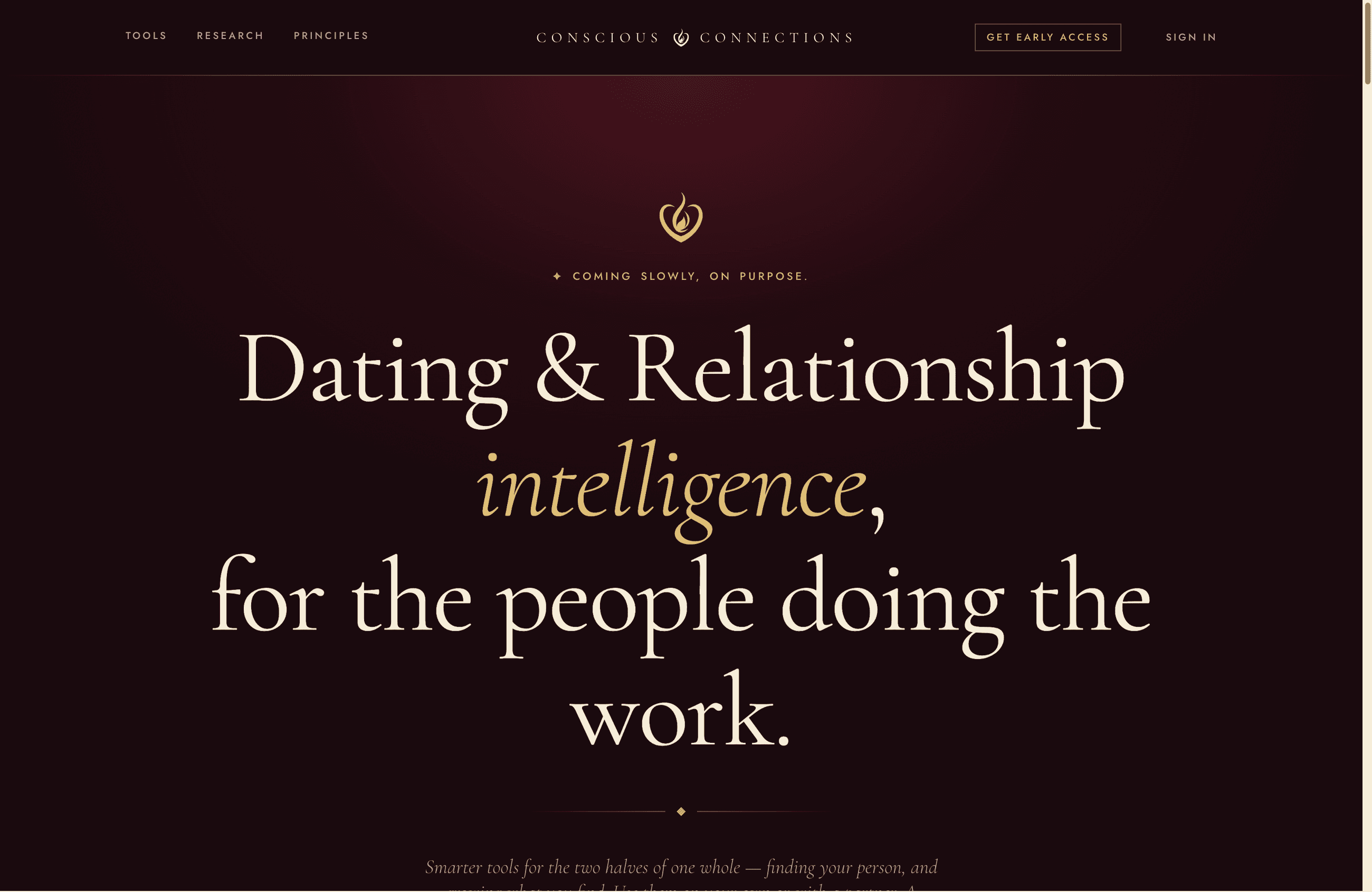 Conscious Connections marketing site — hero